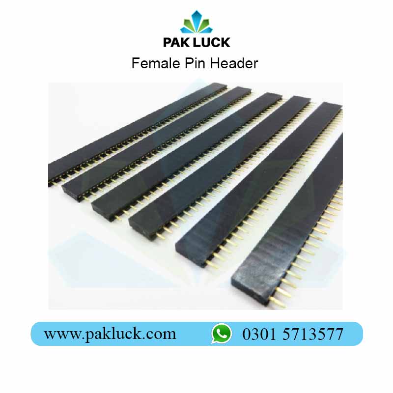 Female-Pin-Header-1