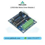 L293D Mini Motor Driver Module