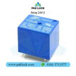 SPDT Relay 24V